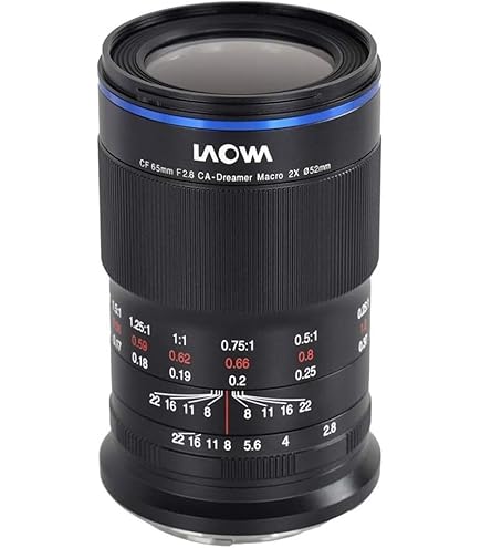 LAOWA 100mm F2.8 2X ULTRA MACRO APO FE用 Amazon.com : Venus Laowa 100mm f/2.8 2X Ultra Macro APO Lens